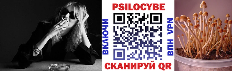 купить сайты Старица Псилоцибиновые грибы Psilocybe